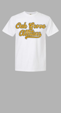 Load image into Gallery viewer, Gildan and Dri-Fit Short Sleeve
